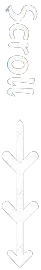 logo scroll